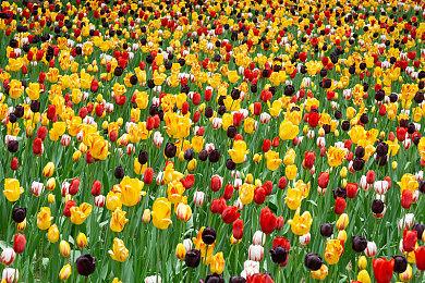 新《青之驱魔师》ARPG公布 实机画面曝光